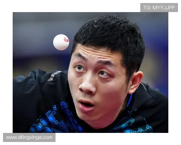 西安羽毛球队在总决赛积分榜上以75分稳居首位展现强劲实力